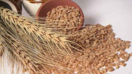 Wheat grains and spikelets on white background.