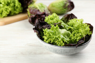 Different sorts of lettuce on white wooden table