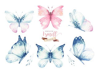 Watercolor colorful butterflies, isolated butterfly on white background. blue, yellow, pink and red butterfly spring illustration. © kris_art