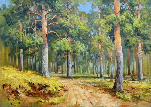 the road in the pine forest