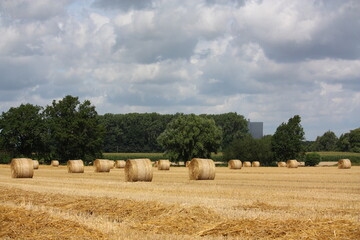 bales of straw