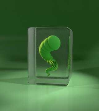 sci-fi looking medusa in a glass cube