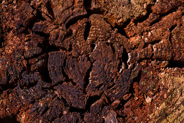 Baumstamm Holzprofil