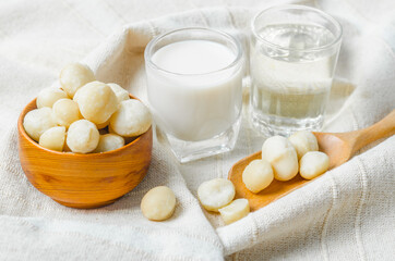 Macadamia milk in a glass and a bowl of macadamia nuts with oil.