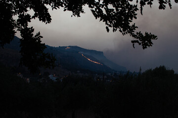 Sicilia in fumo
Incendio sotto a Erice, in provincia di Trapani. 
La zona boschiva, con specie autoctone vegetali e animali, &egrave; andata in fiamme a fine luglio.