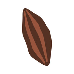 Abstract cacao fruit, boho cacao element isolated vector illustration, summer tropical fruit 