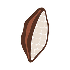 Abstract cacao fruit, boho cacao element isolated vector illustration, summer tropical fruit art