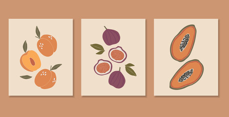 Abstract tropical fruit set, boho tropical elements isolated vector illustration, summer peach, fig and papaya fruits art, fruits banner