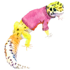 gecko in pink sweater vector illustration