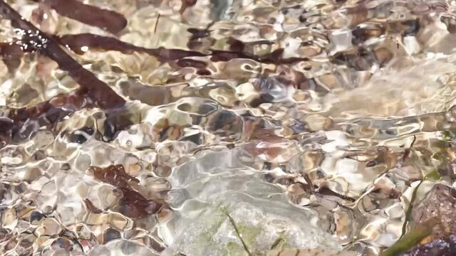 Sea water with algas and rocks. Clear se water clashing