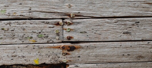 Rustikale Holzwand