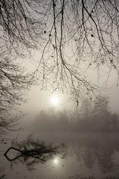 mystical river landscape with fog, mourning photos, grief pictures