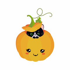 Cute black cat sitting in Halloween pumpkin. Vector illustration, Cartoon flat style
