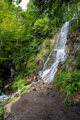 Fototapeta na wymiar Cascade de l Andelau Cascade du Hohwald Wasserfall
