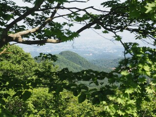 View from the vicinity of Haruna Plateau