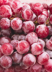 Group of Grape put on background