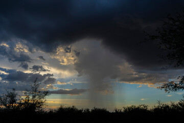 A rain shaft from a summer monsoon storm over the desert