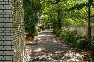 日本の夏の日差しと歩道の様子
