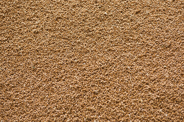 Refined wheat grains.Texture, background.