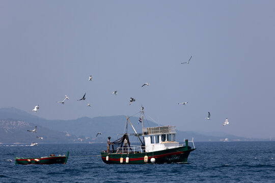 Fishing boats in the sea with seagulls