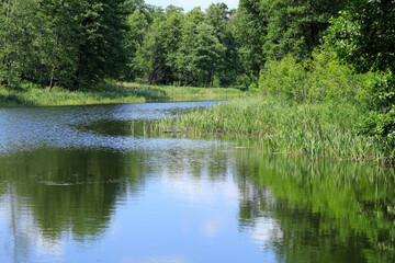 There is a little lake which is a part of a farmland