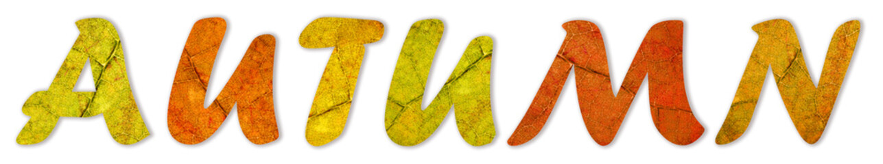 Autumn writen from the dry leaves