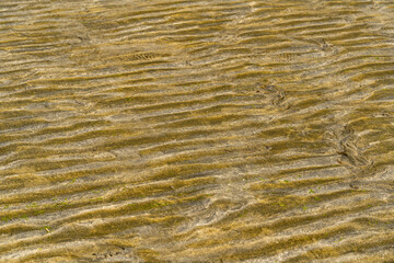 Sandstrand bei Ebbe im Abendlicht in der Bucht von Saint Jouin Bruneval, Normandie , Frankreich