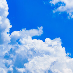 Naklejka na ściany i meble white cloud and blue sky