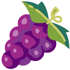 grape flat icon