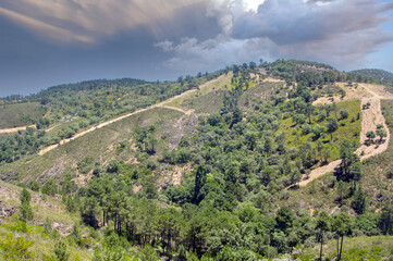 Fototapeta na wymiar Forest of Sierra of Aracena