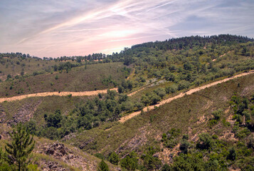Fototapeta na wymiar Forest of Sierra of Aracena