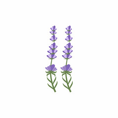Fototapeta premium Lavender Logo Template vector symbol nature