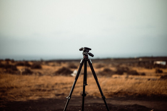 Fotograf&iacute;a de Naturaleza