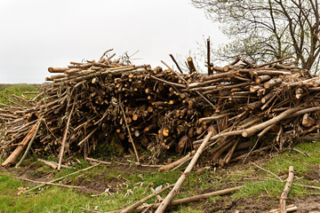 Paisaje de campo con troncos de &aacute;rbol cortados y apilados.