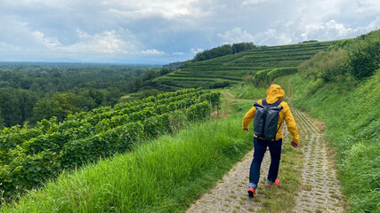 Obraz premium Frankreich im Sommer
