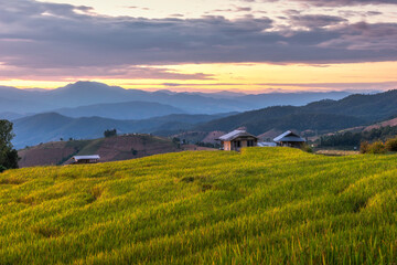 The beautiful rice terraces are located on a mountain at Pong Piang Village, Chom Thong District, Chiang Mai Province.