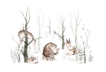 Fototapety  Woodland animals set. Owl, hedgehog, fox and butterfly, Bunny rabbit set of forest squirrel and chipmunk, bear and bird baby animal, Scandinavian Nursery wolf watercolor kids poster design