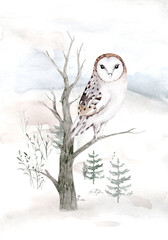 Woodland watercolor cute animals baby owl. Scandinavian owls on forest nursery poster design. Isolated charecter