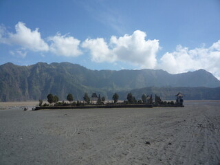 garden on the desert