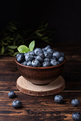 Harvest of summer berries, ripe blueberries with water drops in a bowl on a dark wooden background.