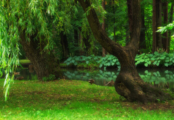 Park miejski w lecie © Mariusz