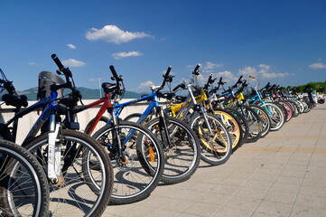 Fototapeta na wymiar bicycles for rent