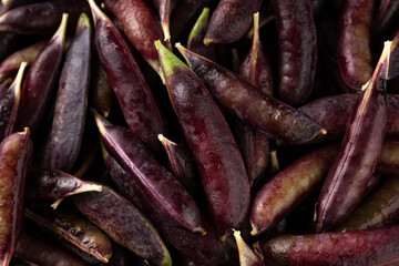 Sweet purple Magnolia Pea, Sugarsnap background. ready to eat