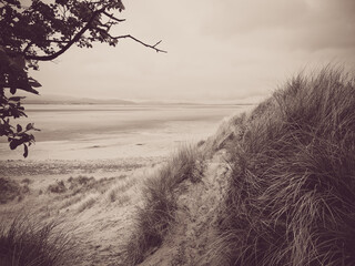 The Sandscale Haws national nature reserve sand dune landscape and Duddon Estuary in sepia