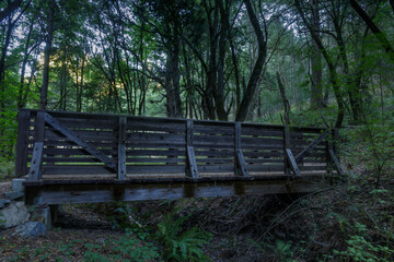 Fototapeta na wymiar Wooden Footbridge Crossing Peters Creek. Long Ridge Open Space Preserve, Santa Clara County, California, USA.