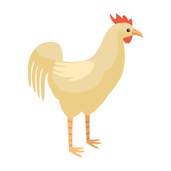 Cute rooster isolated on white background. Funny cartoon character farm white color.