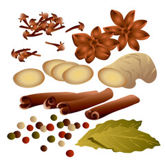Aroma set vector illustrations of anis stars, cinnamon sticks, ginger root, multicolored peppercorns, bay leaf, allspice, clove isolated on white background.
