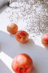 peaches apricots and flowers on a white background