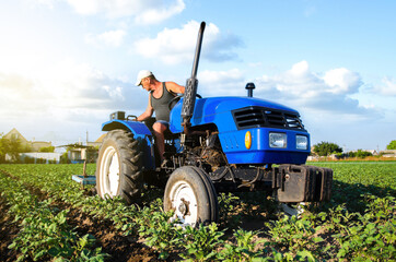 A farmer on a tractor cultivates a potato plantation. Agroindustry and agribusiness. Field work cultivation. Farm machinery. Work on the farm. Soil quality improvement. Plowing and loosening ground