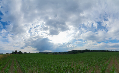 scenic panorama view of natural landscape under a cloudy sky